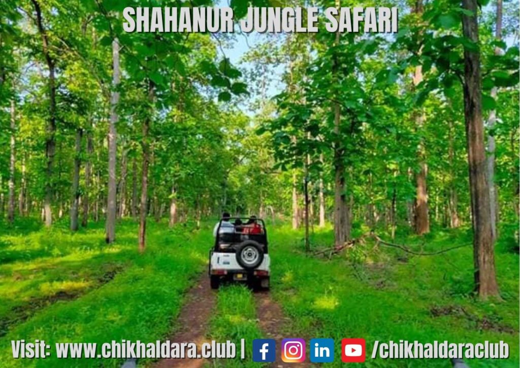 Shahanur Jungle Safari