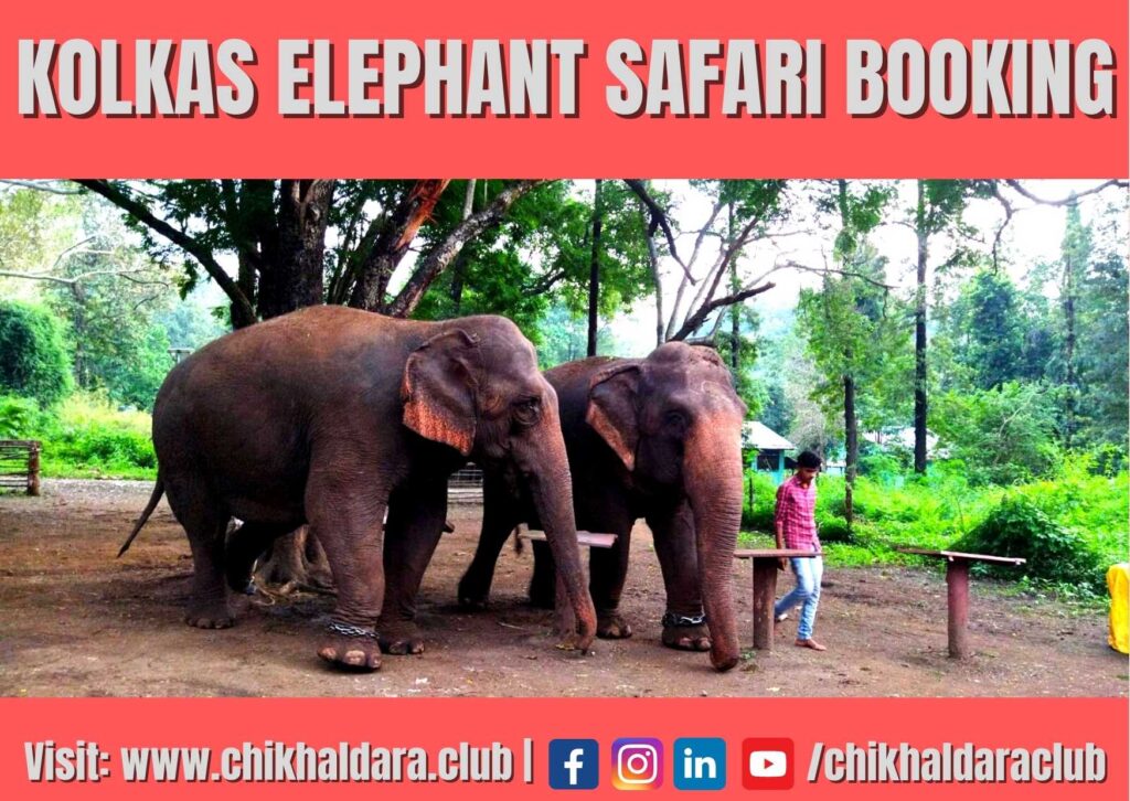 kolkas elephant safari booking