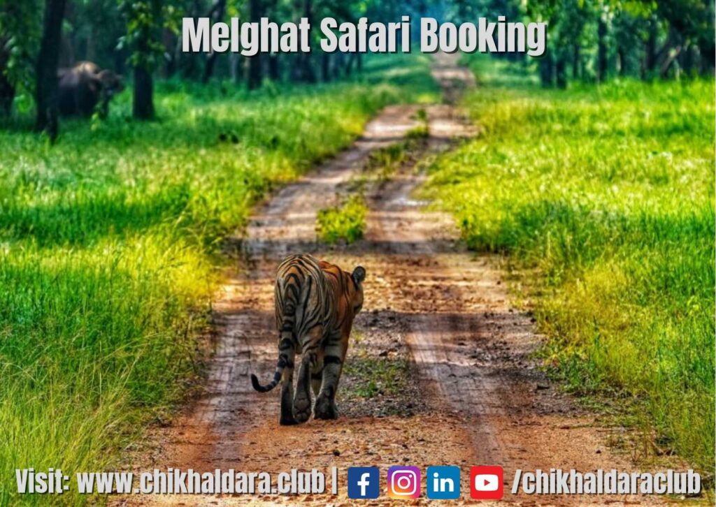 melghat safari booking