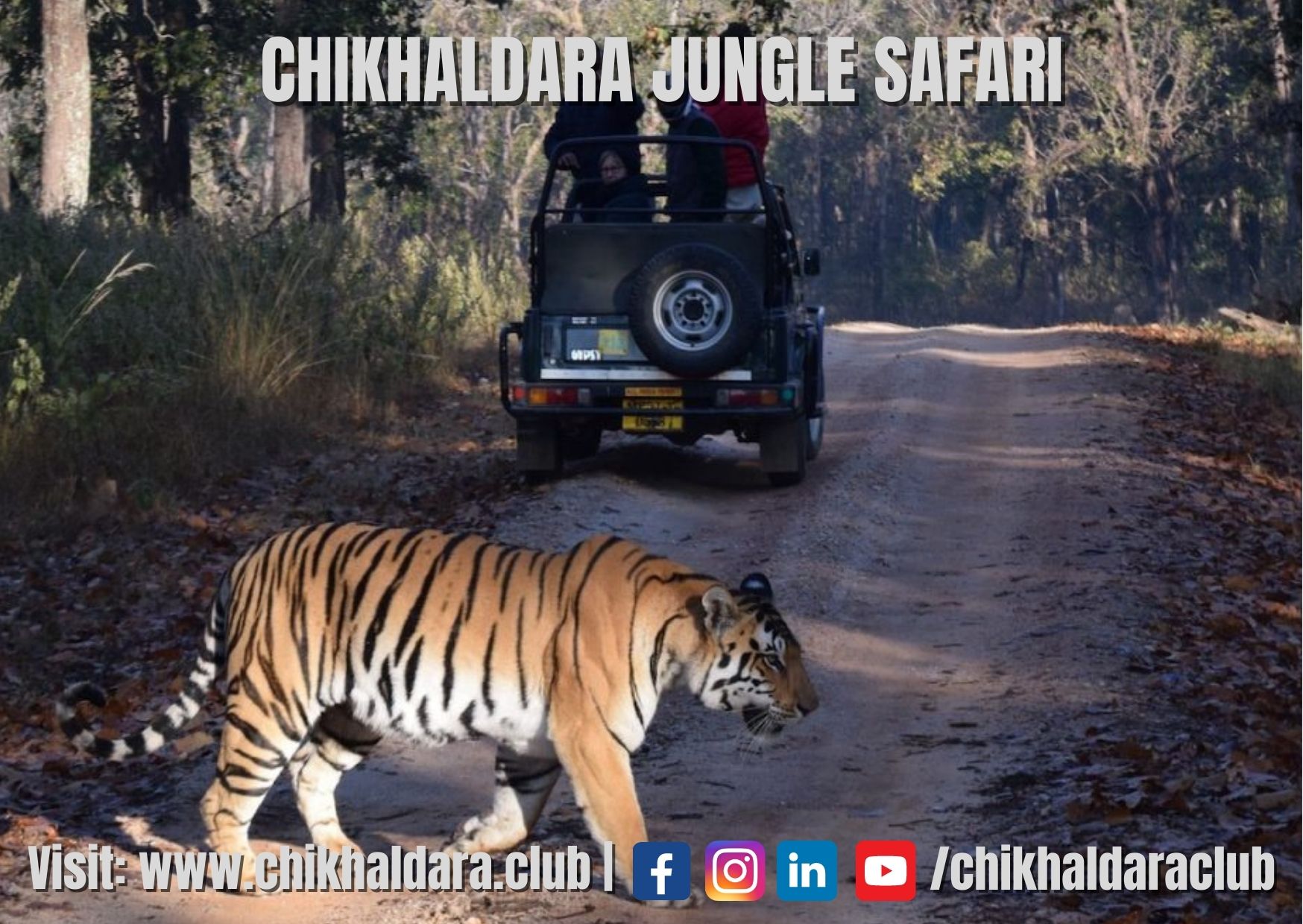 Chikhaldara Jungle Safari - chikhaldara Club