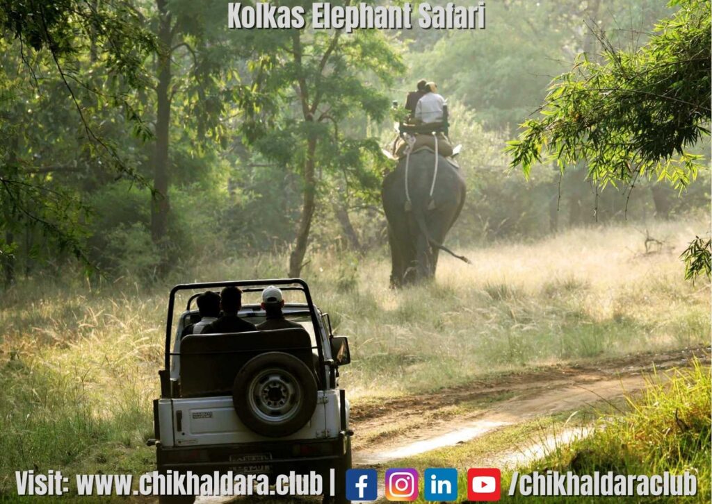 Kolkas Elephant Safari 