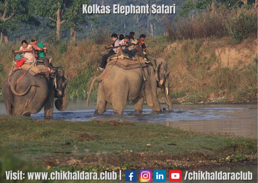 kolkas elephant safari