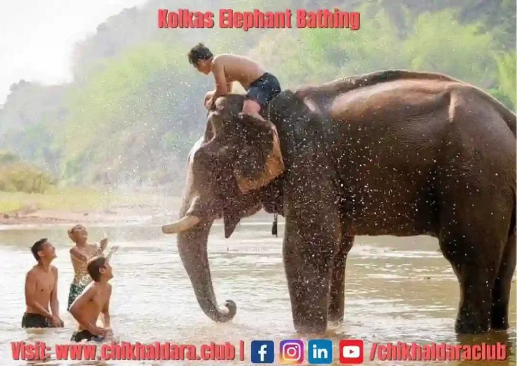 kolkas elephant bathing