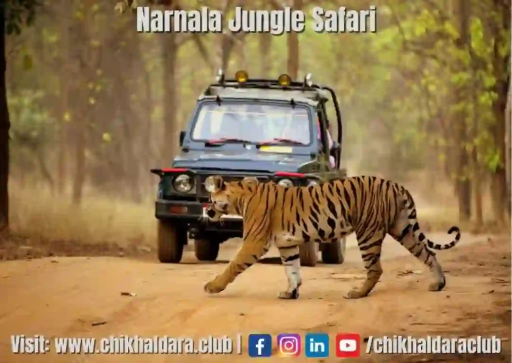 narnala safari booking 