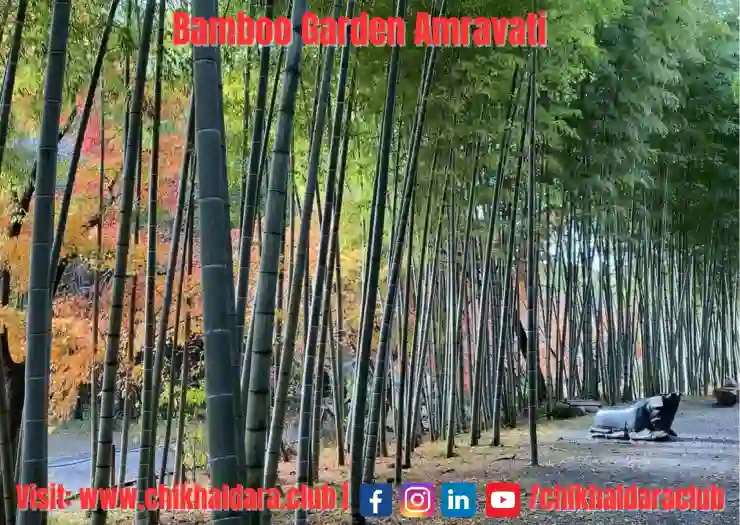 Bamboo Garden Amravati